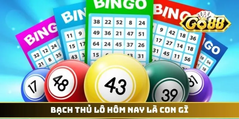 Bạch thủ lô hôm nay là con gì