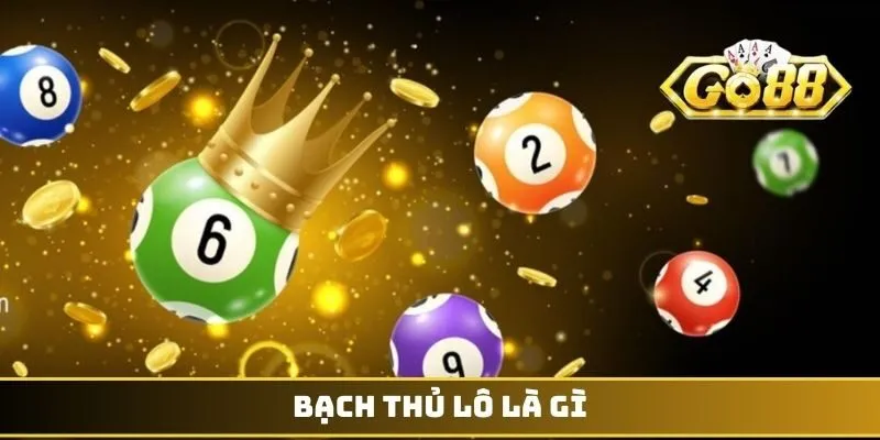Bạch thủ lô là gì