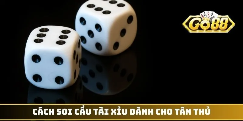 Cách soi cầu Tài Xỉu dành cho tân thủ