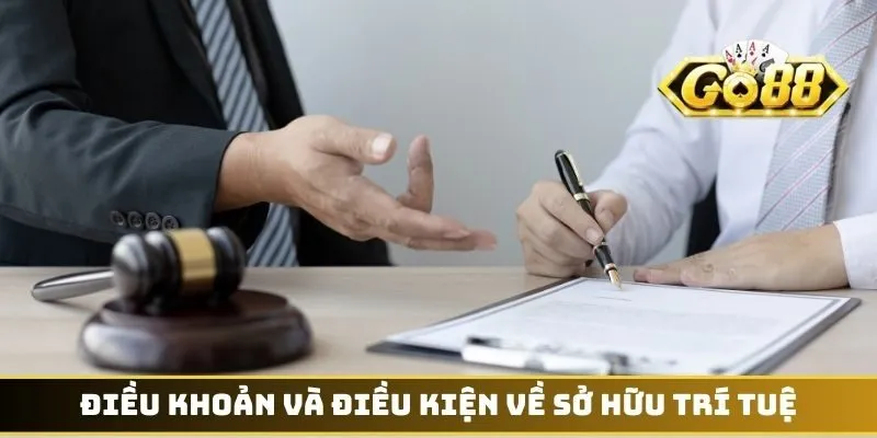 Điều khoản và điều kiện về sở hữu trí tuệ