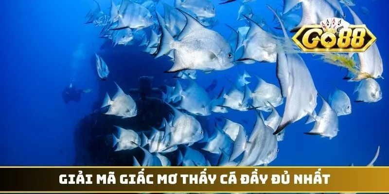 Giải mã giấc mơ thấy cá đầy đủ nhất