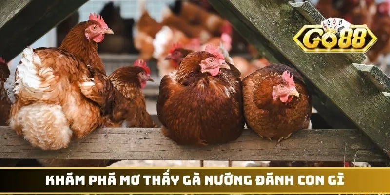 Khám phá mơ thấy gà nướng đánh con gì