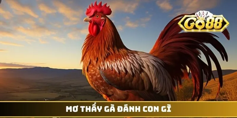 Mơ thấy gà đánh con gì