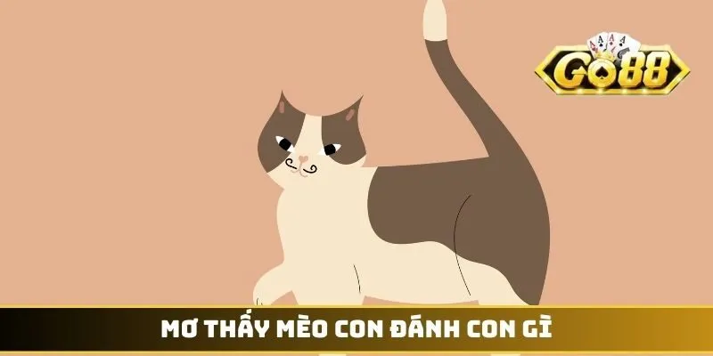 Mơ thấy mèo con đánh con gì