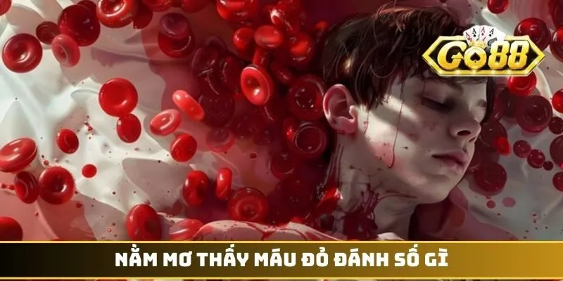 Nằm mơ thấy máu đỏ đánh số gì