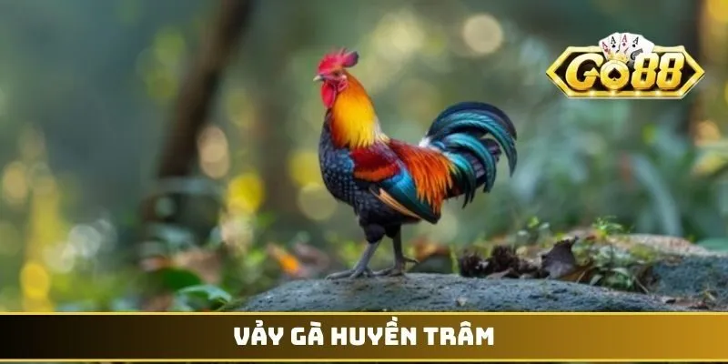 Vảy gà Huyền Trâm