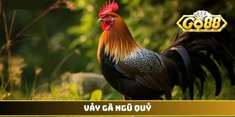 Vảy gà Ngũ Quỷ
