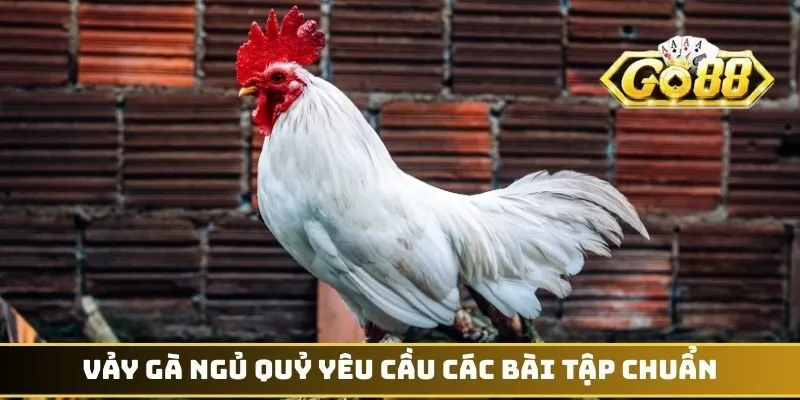 Vảy gà Ngủ Quỷ yêu cầu các bài tập chuẩn