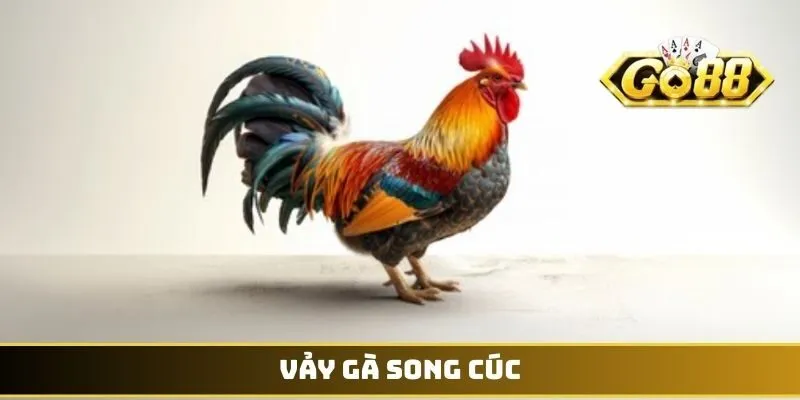 Vảy gà Song Cúc