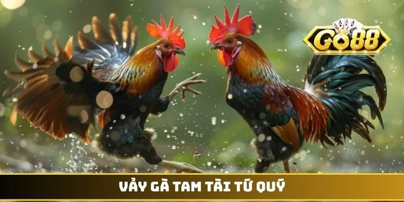 Vảy gà Tam Tài Tứ Quý