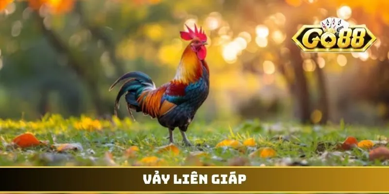 Vảy Liên Giáp