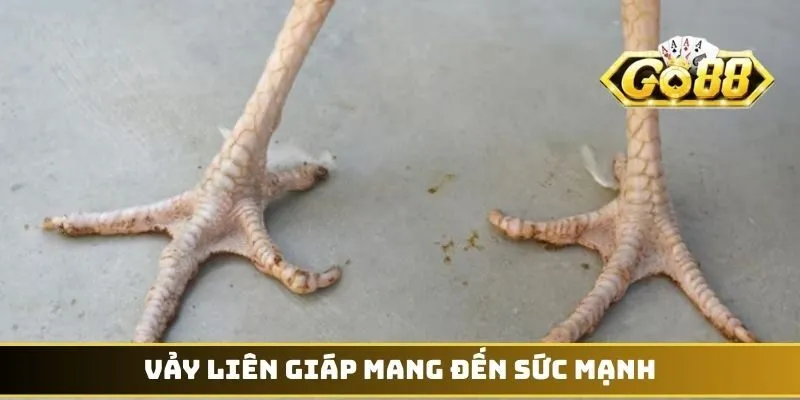 Vảy Liên Giáp mang đến sức mạnh